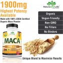 Organic Maca Root Black, Red, Yellow 1900 MG per Serving - 150 Vegan Capsules Peruvian Maca Root Gelatinized 100% Pure Non-GMO Supports Reproductive Health Natural Energizer